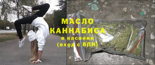 гидра Кулебаки