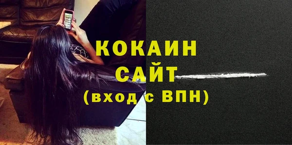 гидра Кулебаки
