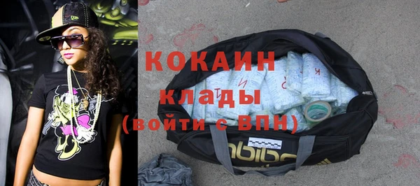 гидра Кулебаки