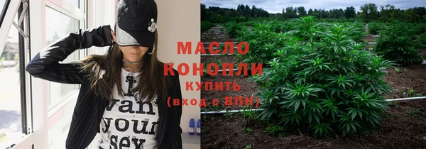 гидра Кулебаки