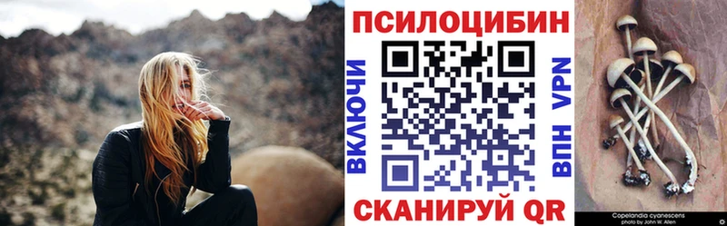 Псилоцибиновые грибы Psilocybe  мега как войти  Курчатов 