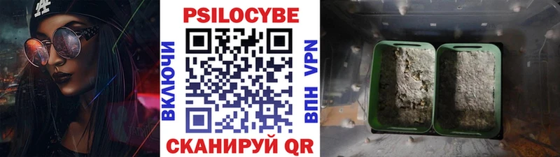 Псилоцибиновые грибы мицелий Курчатов